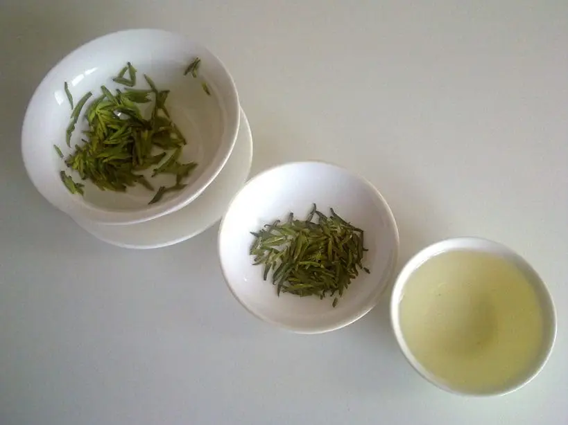 Research on potential cures for arthritis - green tea & gallnuts