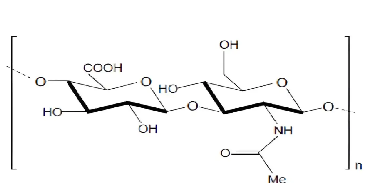 Hyaluronic acid for one-step cartilage repair