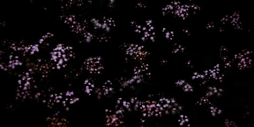 Common Questions About Stem Cells, Exosomes, & Cartilage Repair
