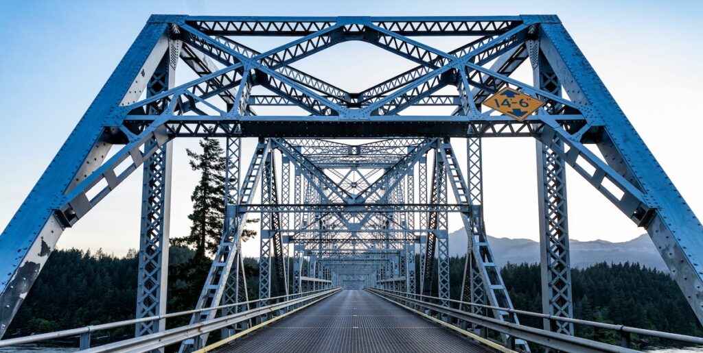 Bridge Registry: What the First 100 BEAR Patients Teach Us